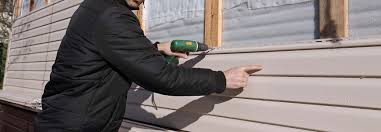 Best Custom Siding Design  in Prosperity, WV